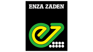 ENZA ZADEN